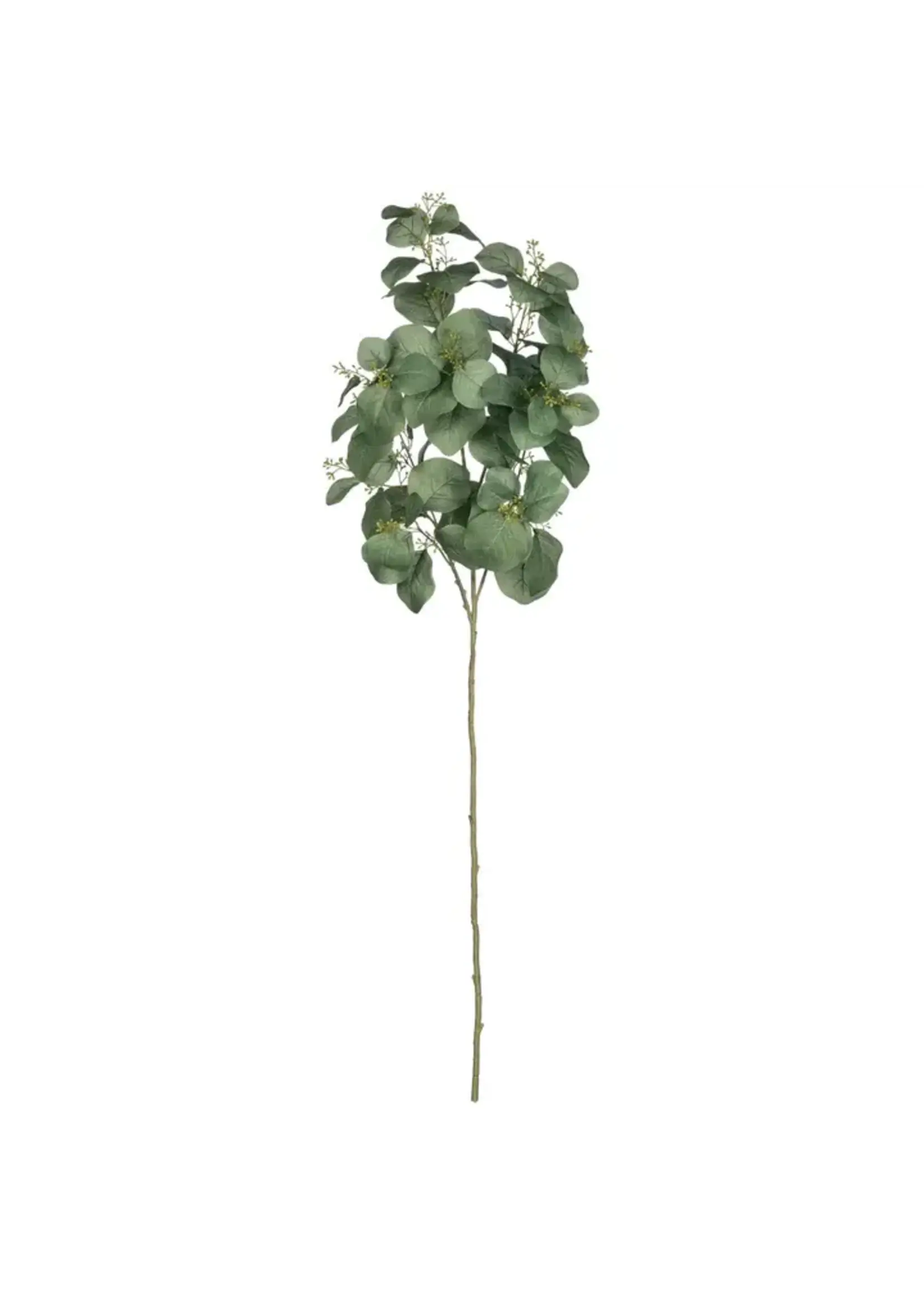 Sullivans EUCAL SPRAY