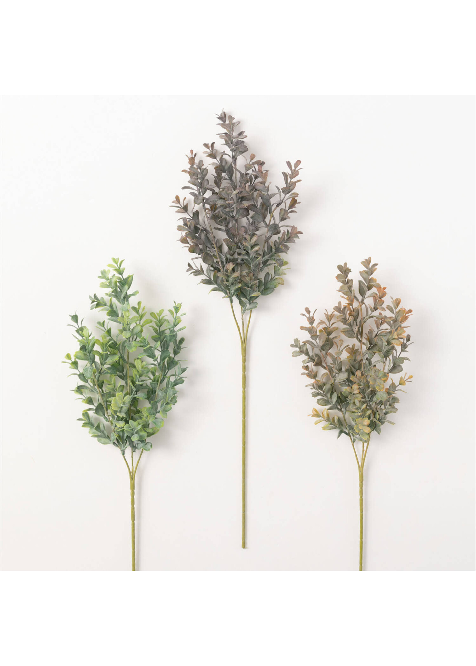 HEDGEROW BUNDLE