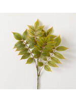 Sullivans RUSCUS SPRAY