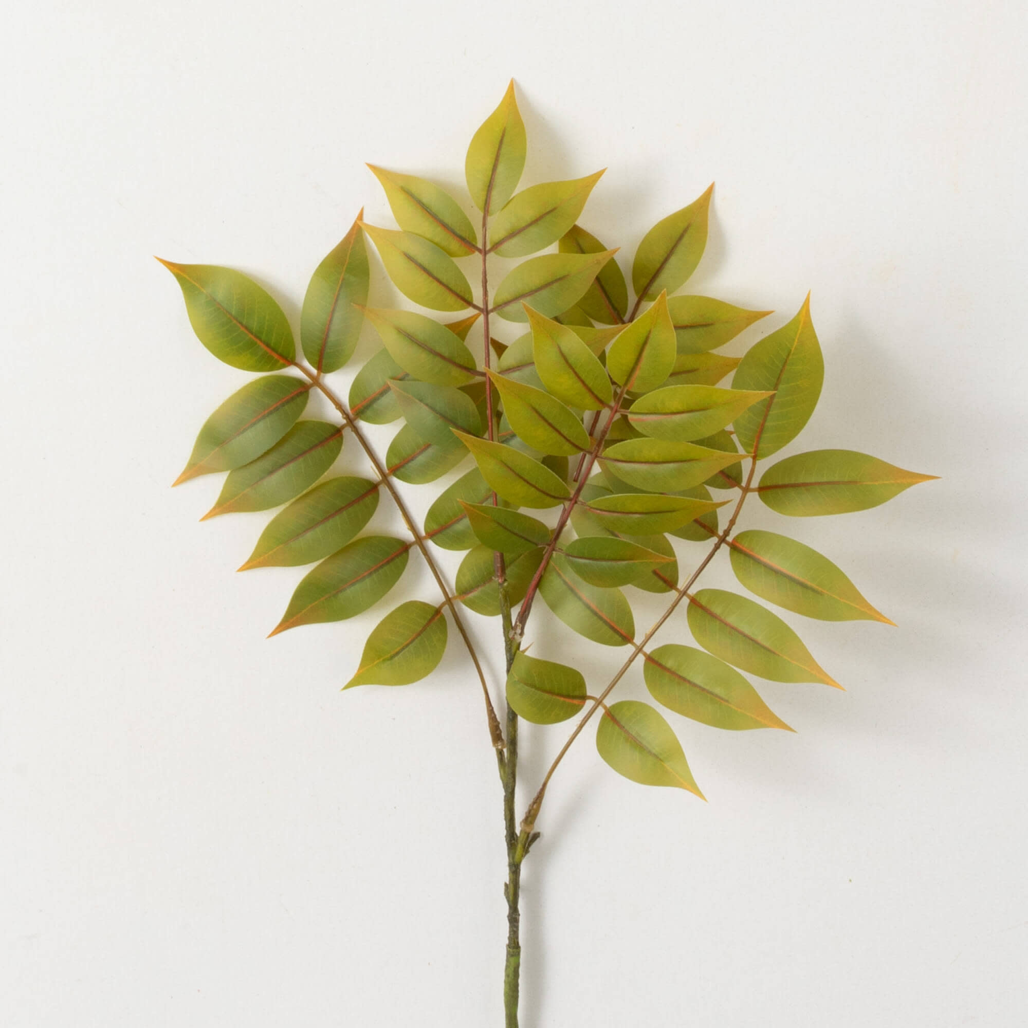 RUSCUS SPRAY - Swans Fine Home