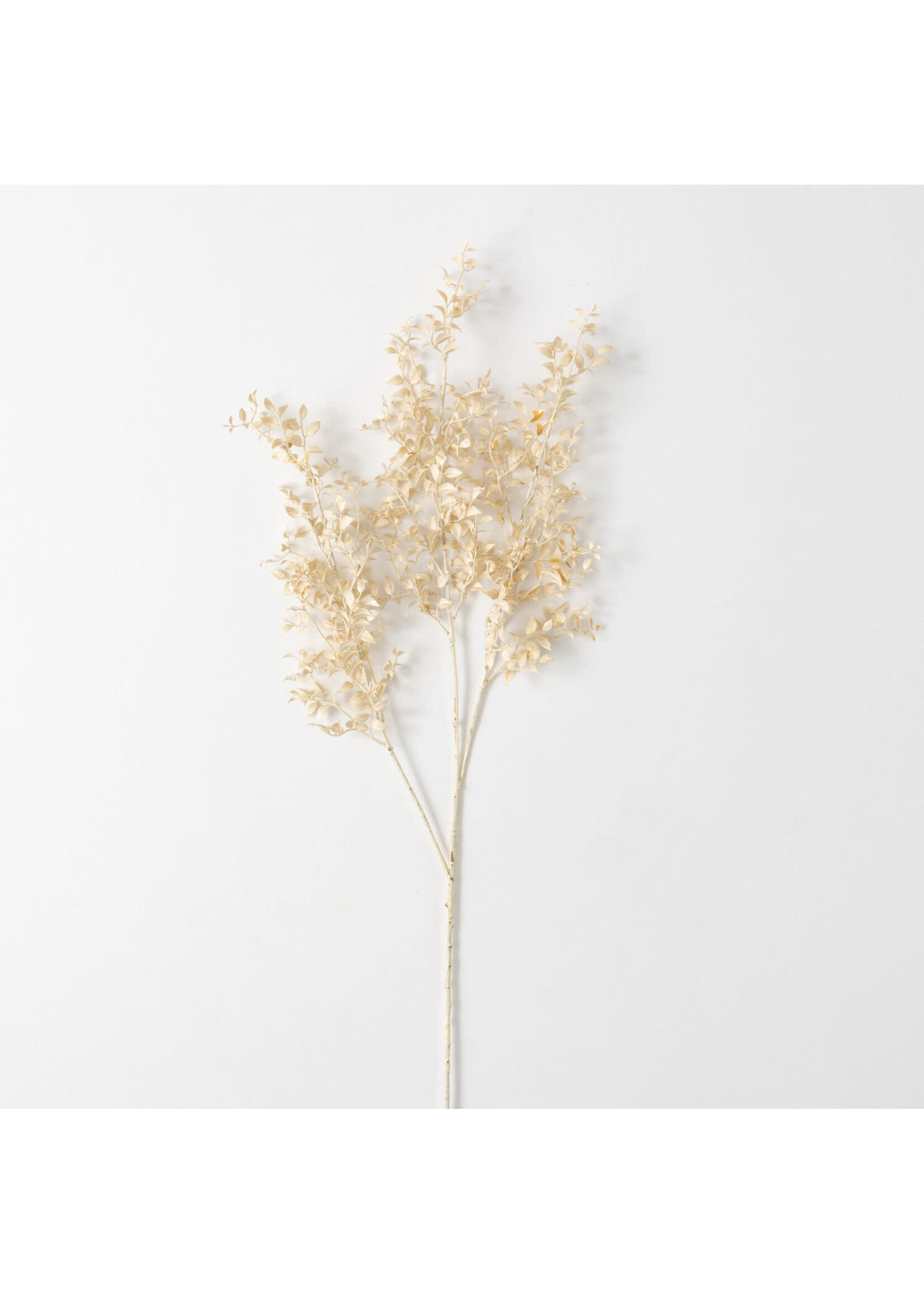 SMILAX SPRAY