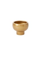 CASSIO COMPOTE 6.75"