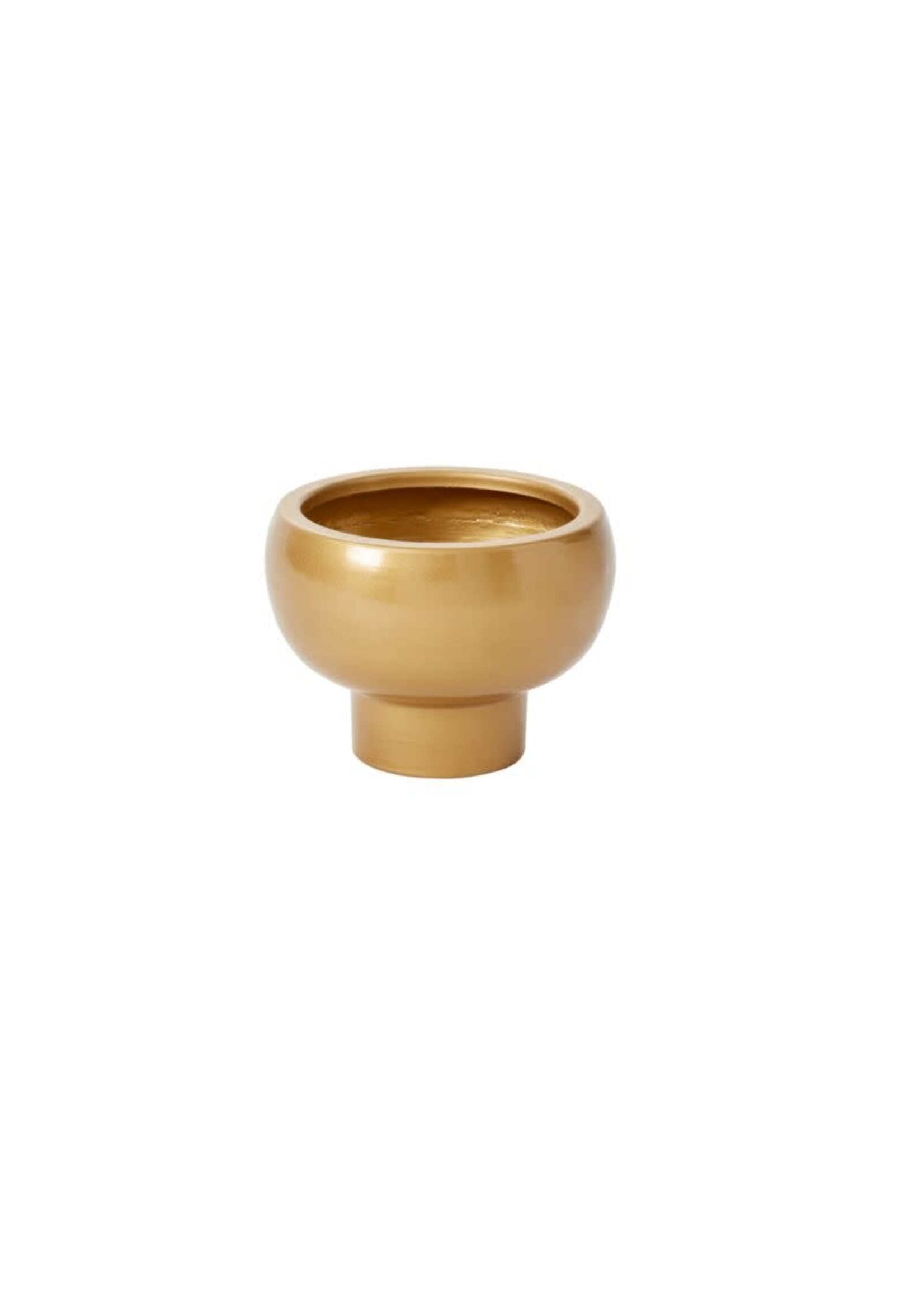 CASSIO COMPOTE 6.75"