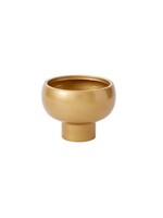 CASSIO COMPOTE 8.5"