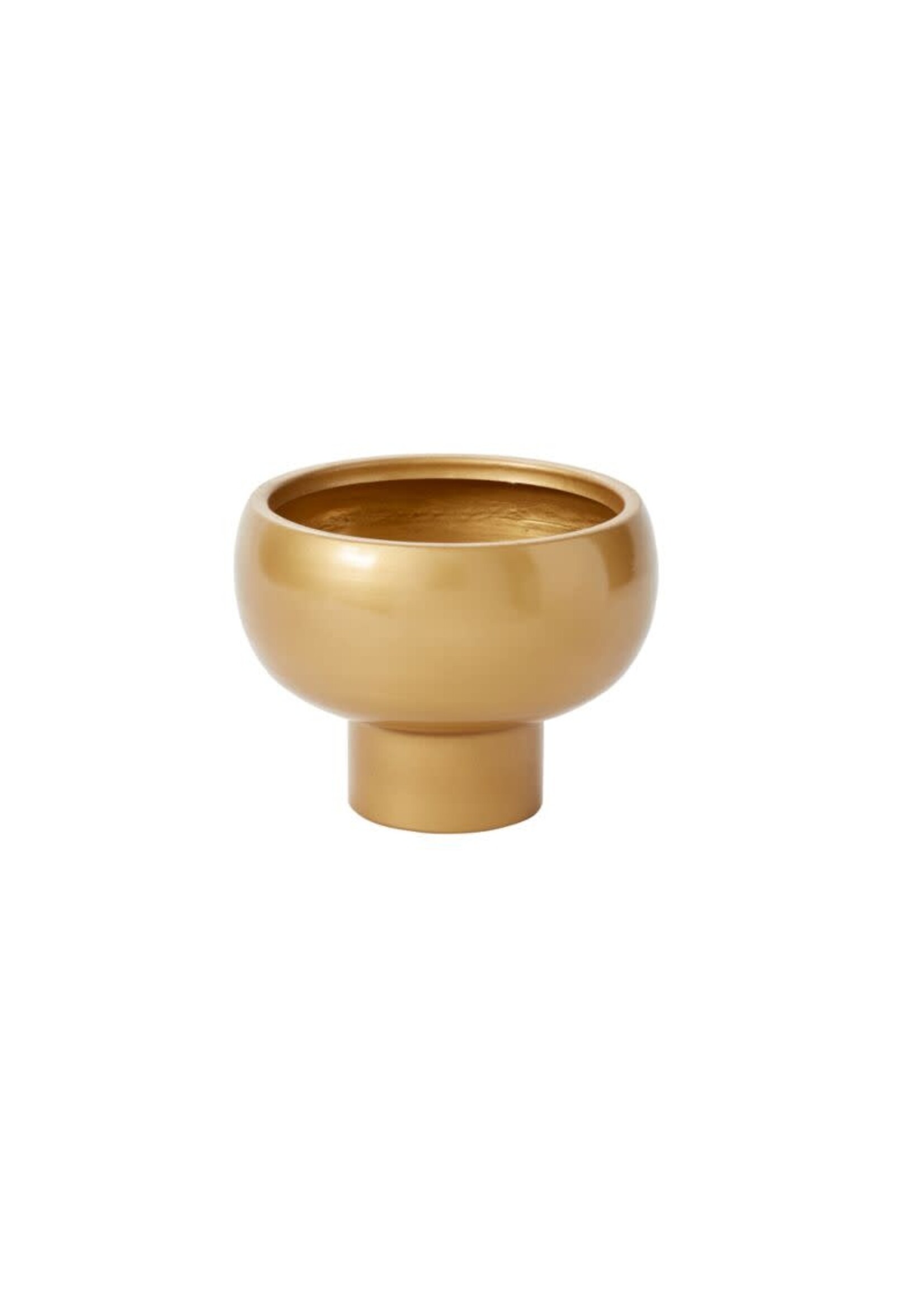CASSIO COMPOTE 8.5"