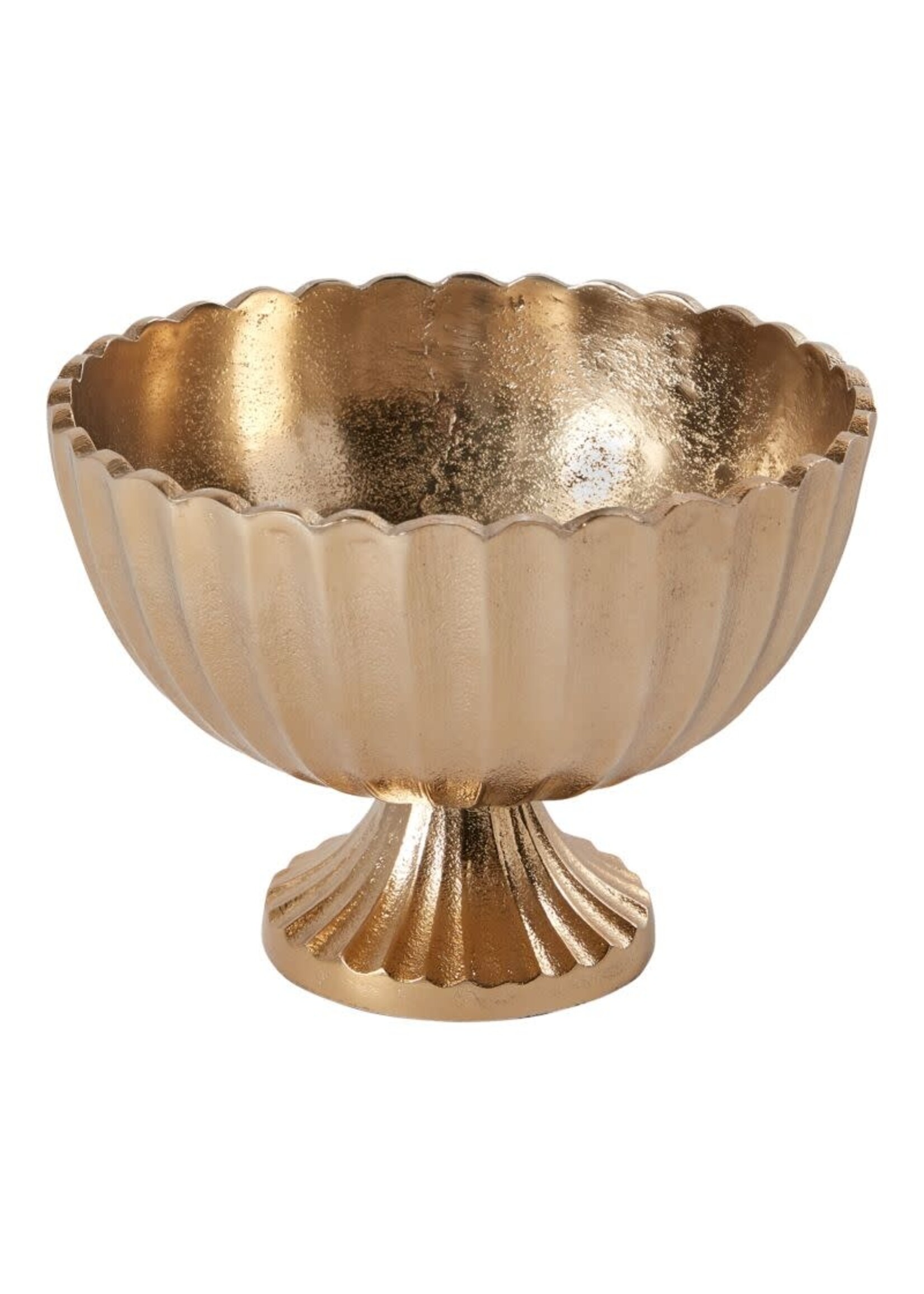 SCALLOP COMPOTE 8.5"