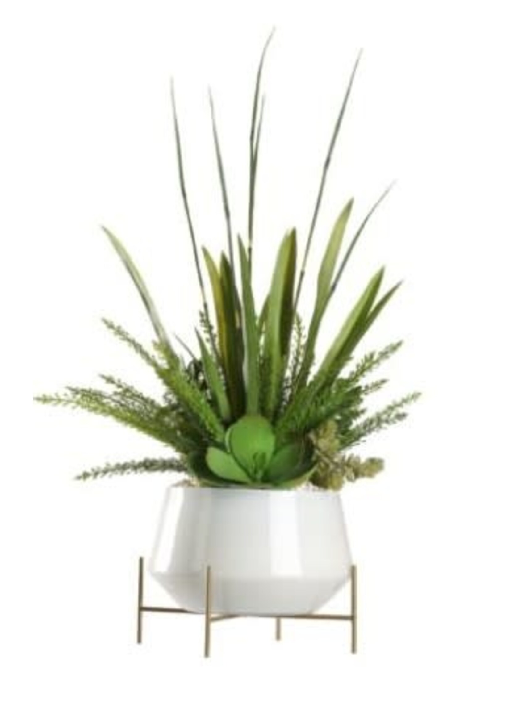 D & W SILKS HORSETAIL REED & SUCCELENTS IN WHITE BOWL W GOLD LEGS