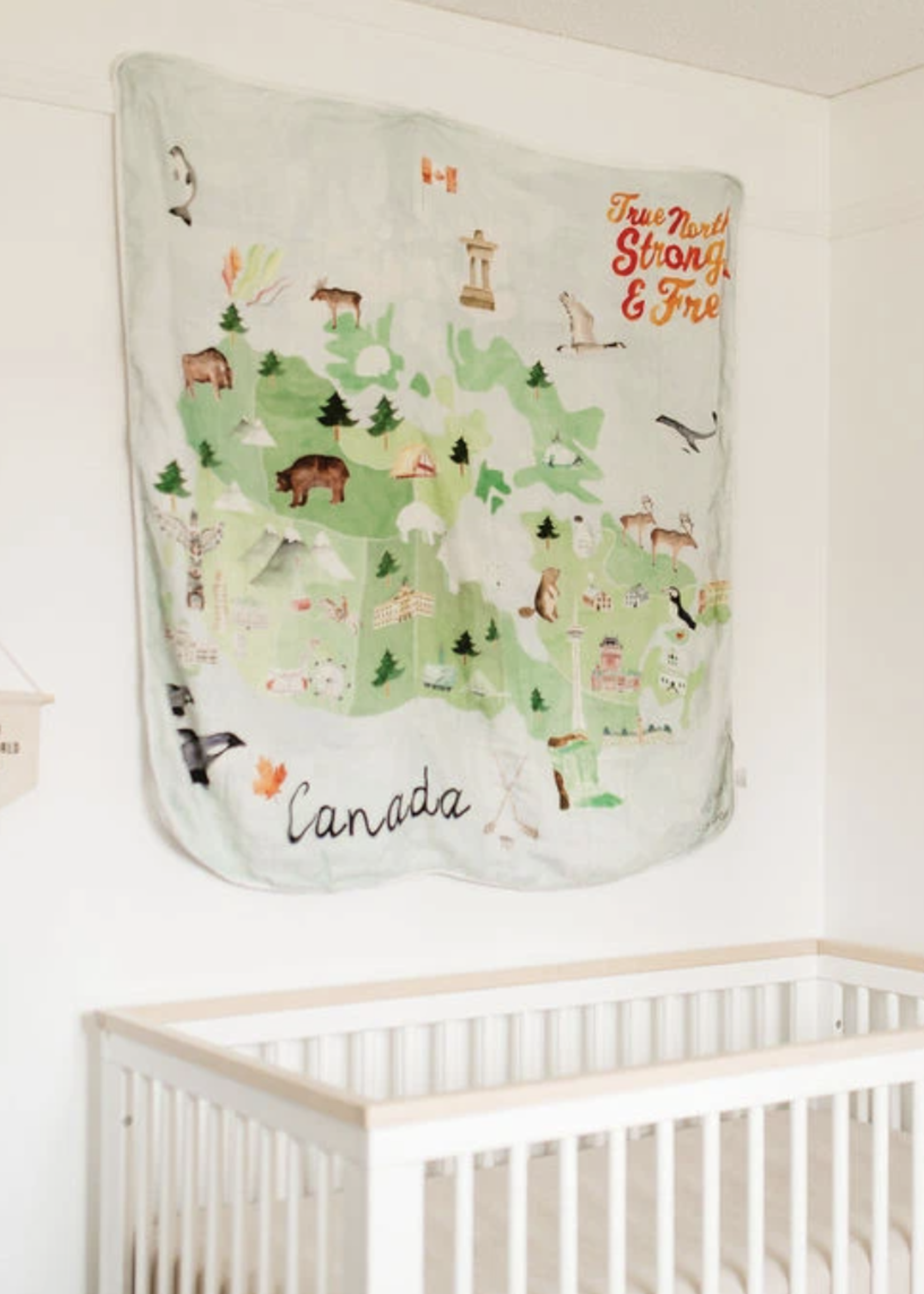 Lou Lou Lollipop Muslin Quilt Blanket | Canada