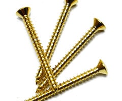 MannMade USA Neck Plate Screw,  Set - Gold