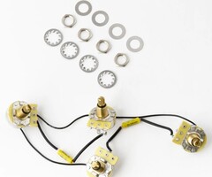 PRS Guitars PRS Tremonti Drop In - 2 Volume & 2 Tone