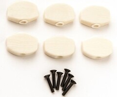 PRS Guitars PRS Phase III Tuner Buttons, Faux Bone (6)