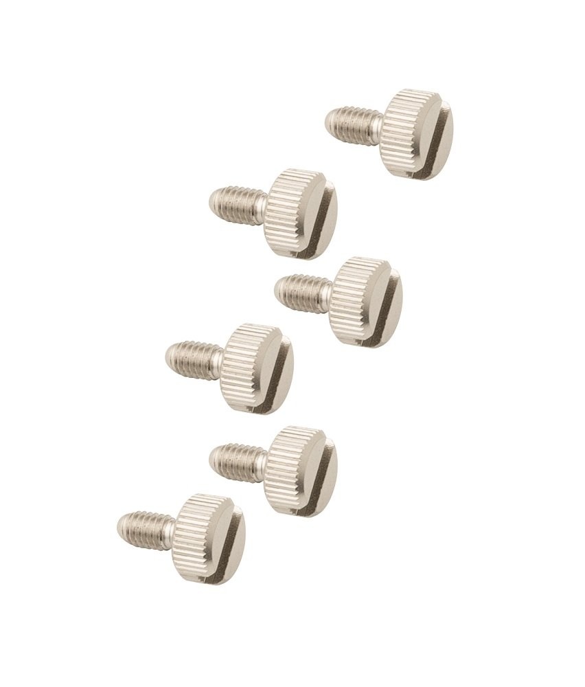 PRS Guitars PRS Silver Sky Tuner Cap Screws