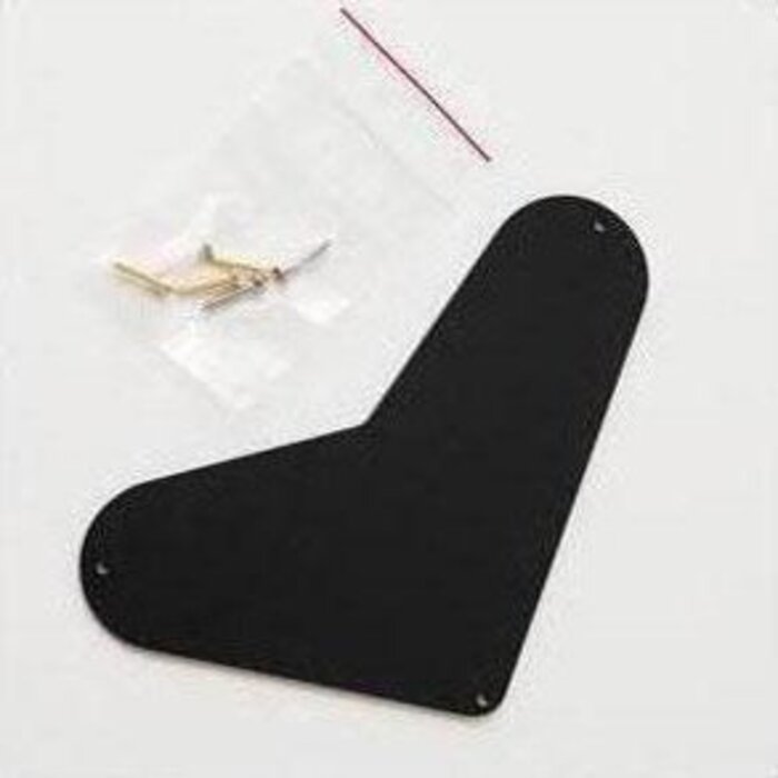 PRS Guitars PRS Elec. Cover, Boomerang, Fits Recess-Mounted US Models (Excluding Piezo)