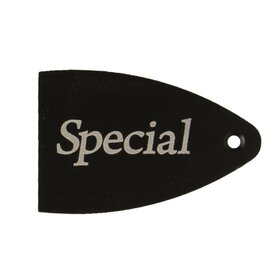 PRS Guitars PRS Truss Rod Cover, Black Anodized Aluminum, Etched, Special