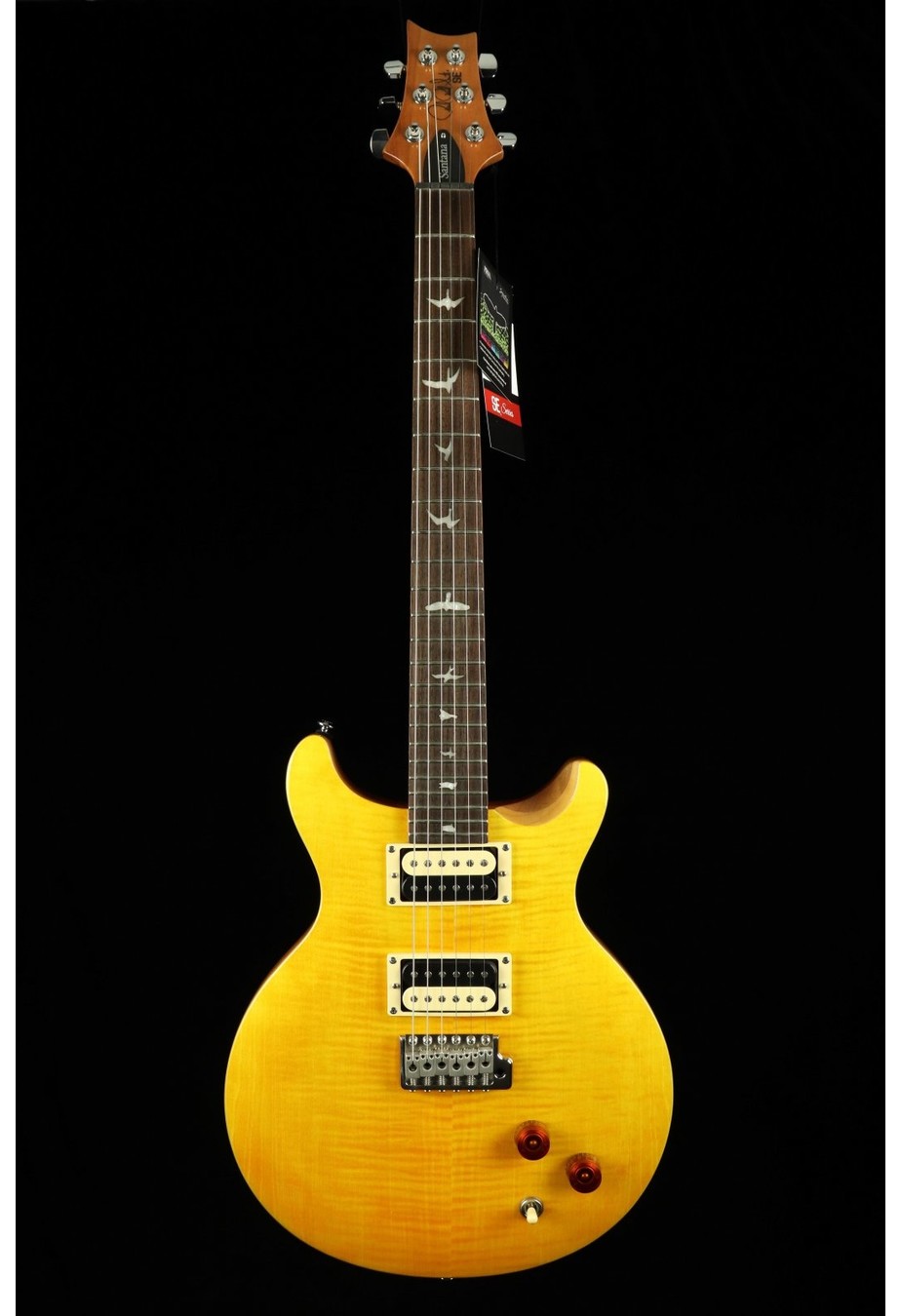 Carlos Santana PRS Guitar - A Look At The SE Santana Model