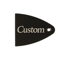 PRS Guitars PRS Truss Rod Cover, Black Anodized Aluminum, Etched, Custom (Floyd Rose)