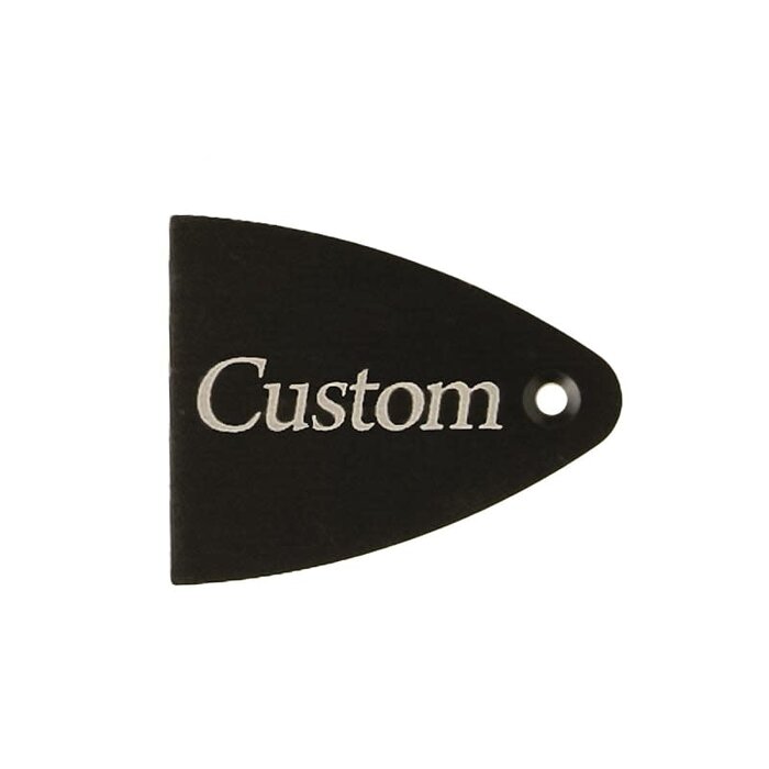PRS Guitars PRS Truss Rod Cover, Black Anodized Aluminum, Etched, Custom (Floyd Rose)