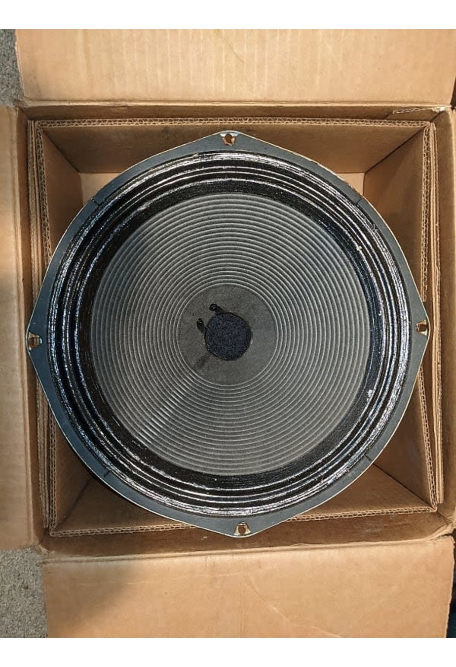 CTS CTS - Ampeg 12" Speaker (137 542)
