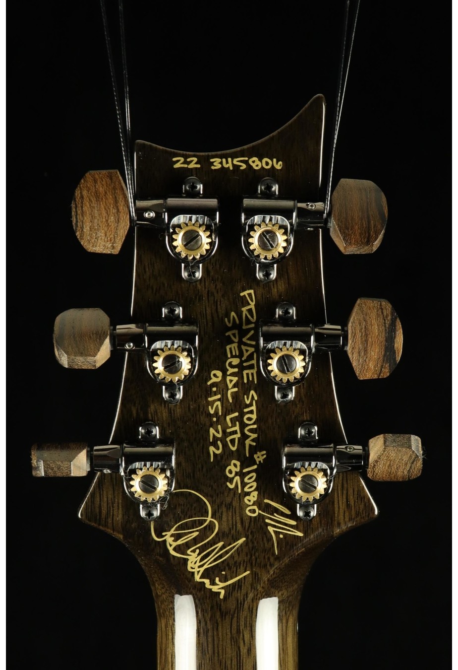 PRS Guitars PRS Private Stock Special Semi-Hollow Limited Edition