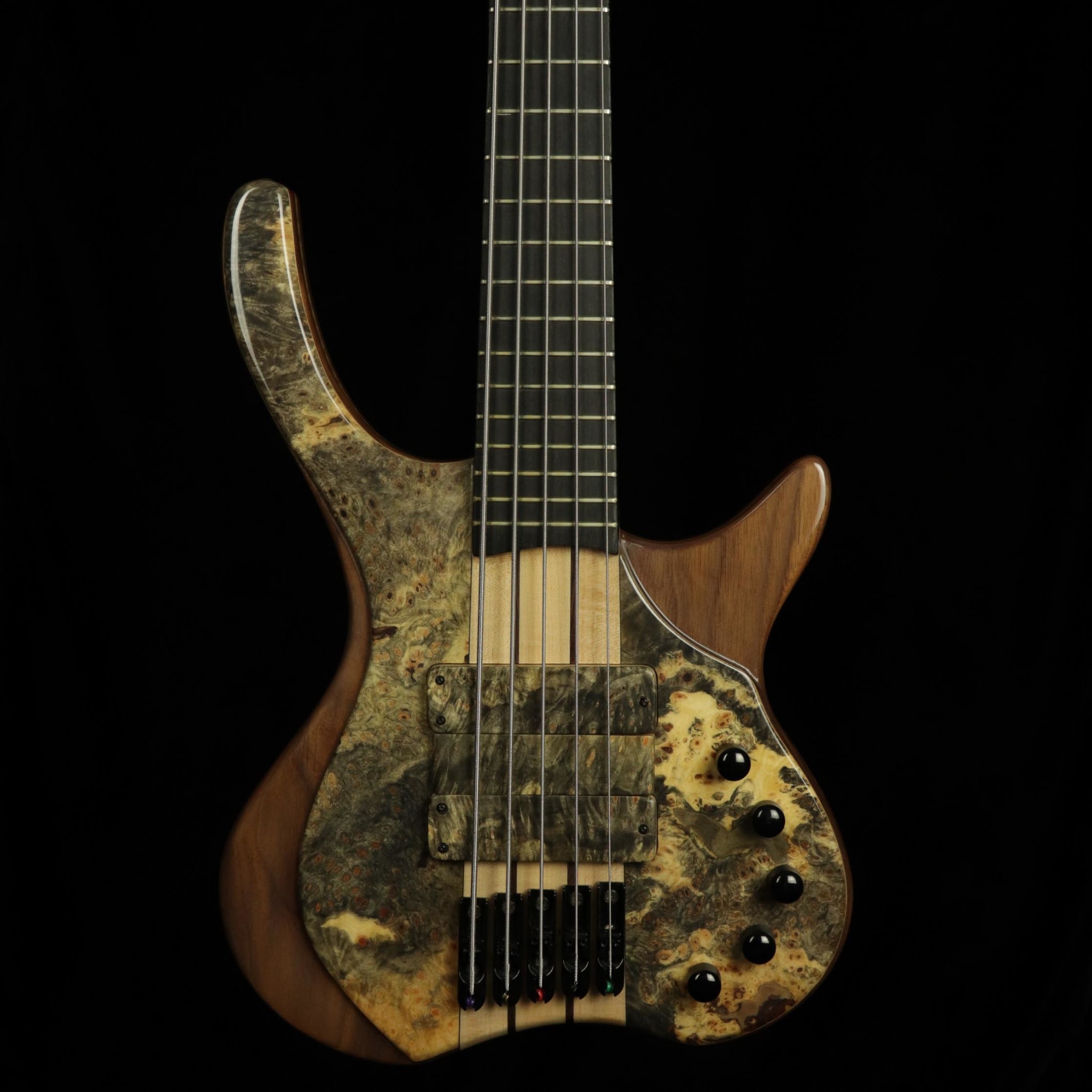 MGBass MGBass - Desert Buckeye Burl V String Bass