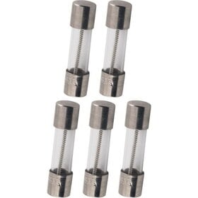 Amplified Parts 2A Fuses (5 Pack)