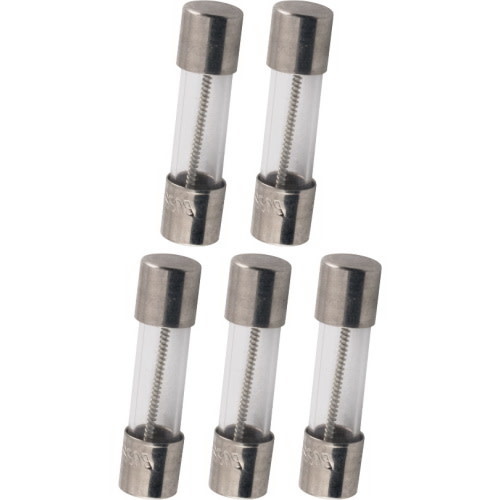 Amplified Parts 2A Fuses (5 Pack)