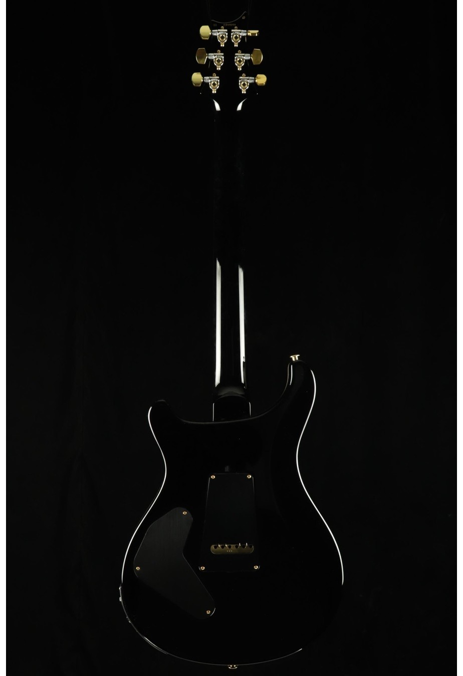PRS Guitars PRS Custom 24 Piezo - Blue Matteo