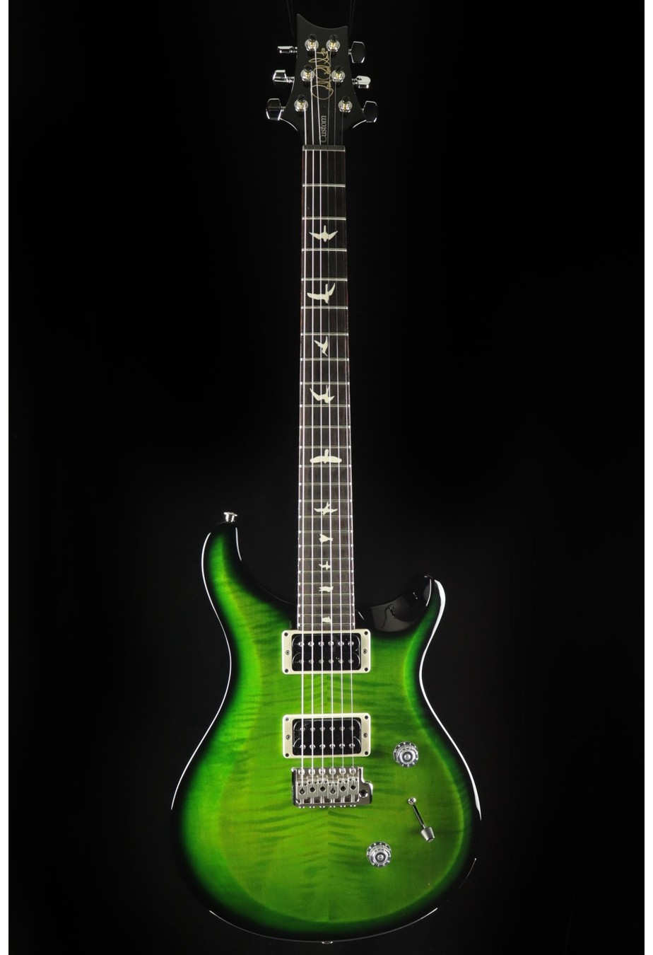 PRS Guitars PRS S2 Custom 24 - Eriza Verde  Smokeburst