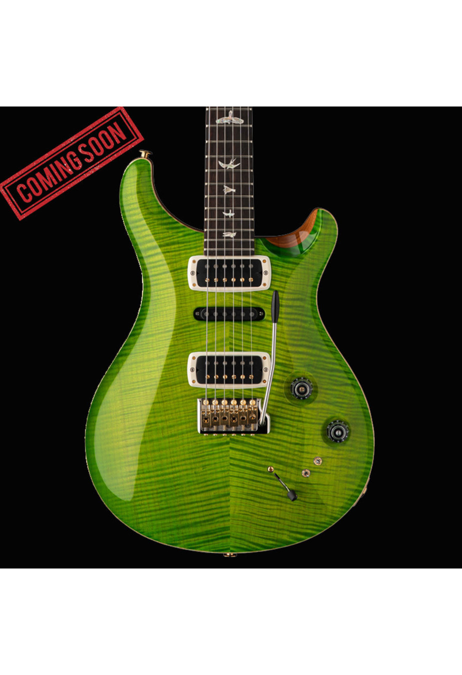 PRS Guitars PRS Modern Eagle V  - Eriza Verde
