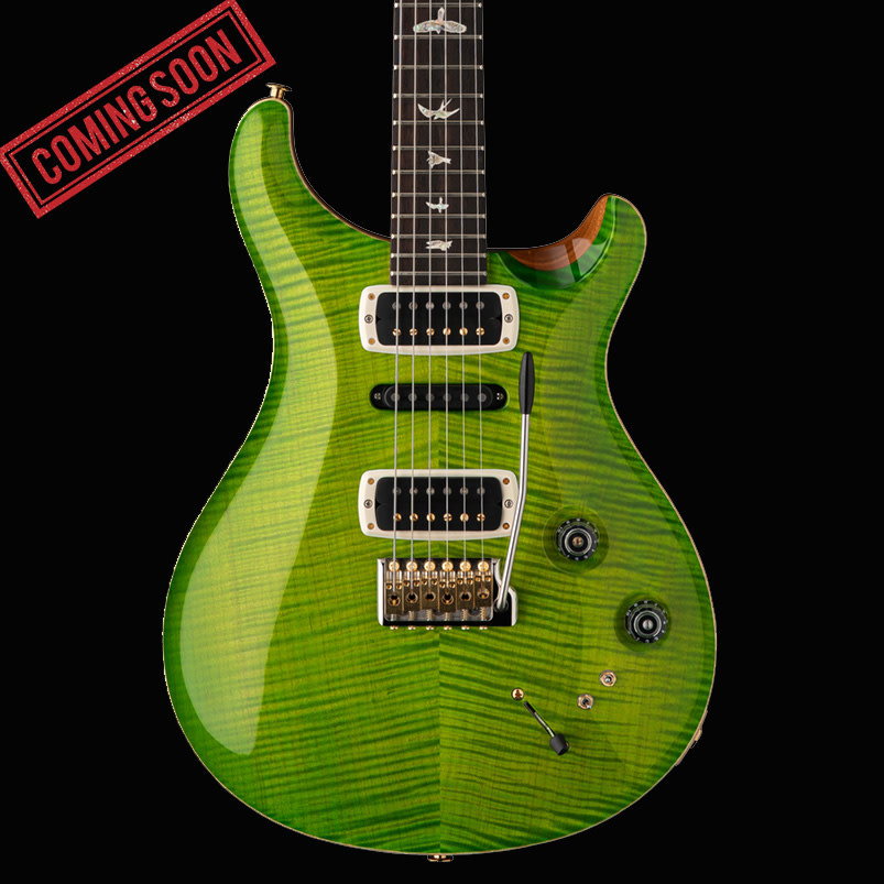 PRS Guitars PRS Modern Eagle V  - Eriza Verde