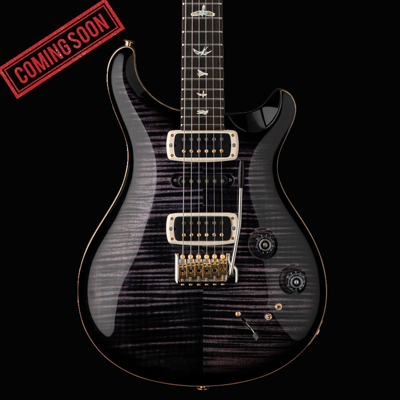PRS Guitars PRS Modern Eagle V  - Purple Mist