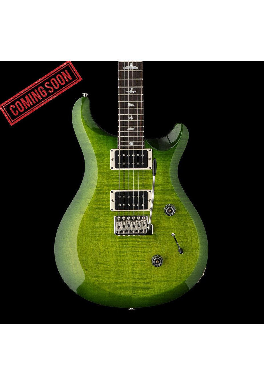 PRS Guitars PRS S2 10th Anniversary Custom 24 - Eriza Verde