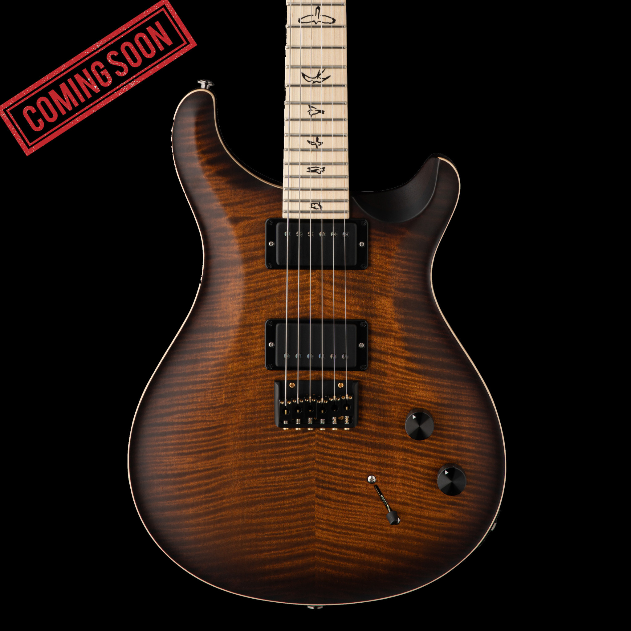 PRS Guitars PRS DW CE 24 Hardtail Limited Edition  - Burnt Amber Smokeburst