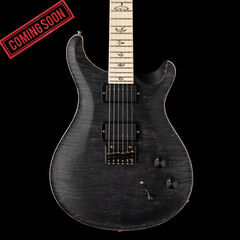 PRS Guitars PRS DW CE 24 Hardtail Limited Edition - Grey Black