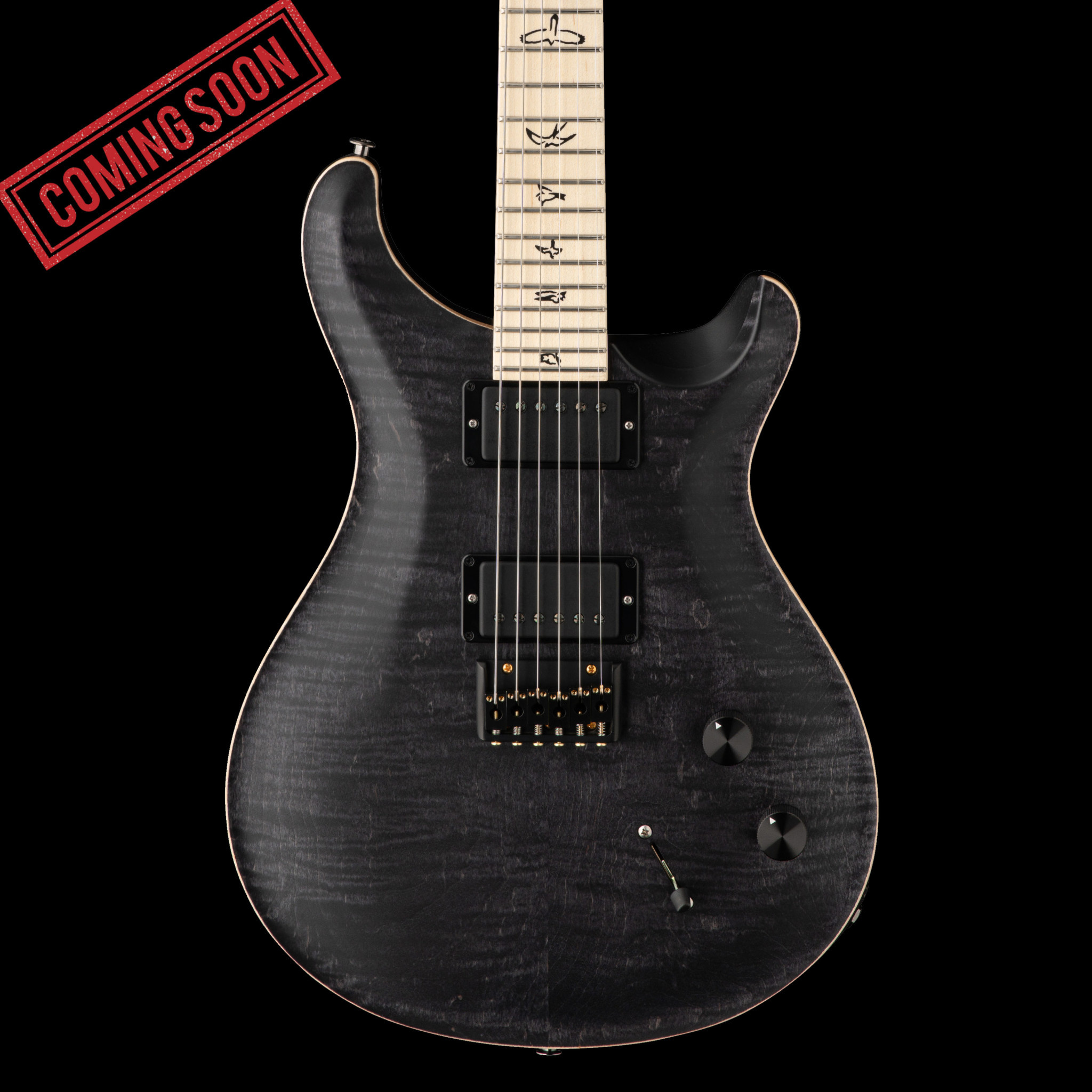 PRS Guitars PRS DW CE 24 Hardtail Limited Edition - Grey Black