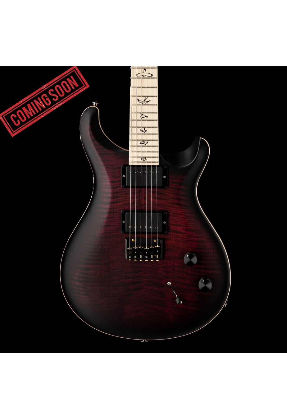 PRS Guitars PRS DW CE 24 Hardtail Limited Edition - Waring Burst