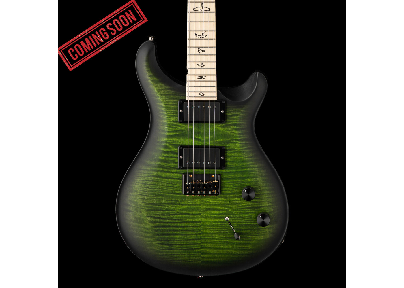 PRS Guitars PRS DW CE 24 Hardtail Limited Edition - Jade Smokeburst