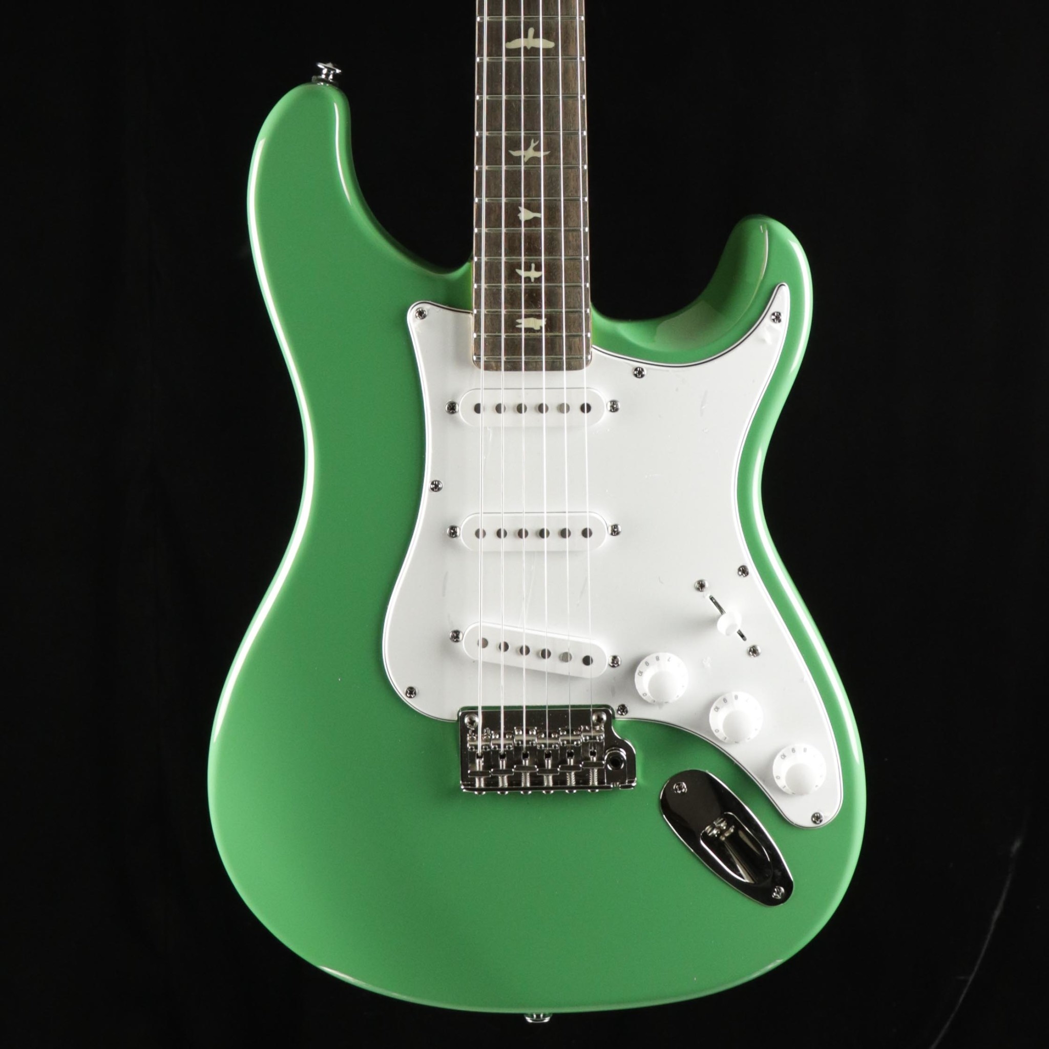 PRS Guitars PRS SE Silver Sky - Evergreen