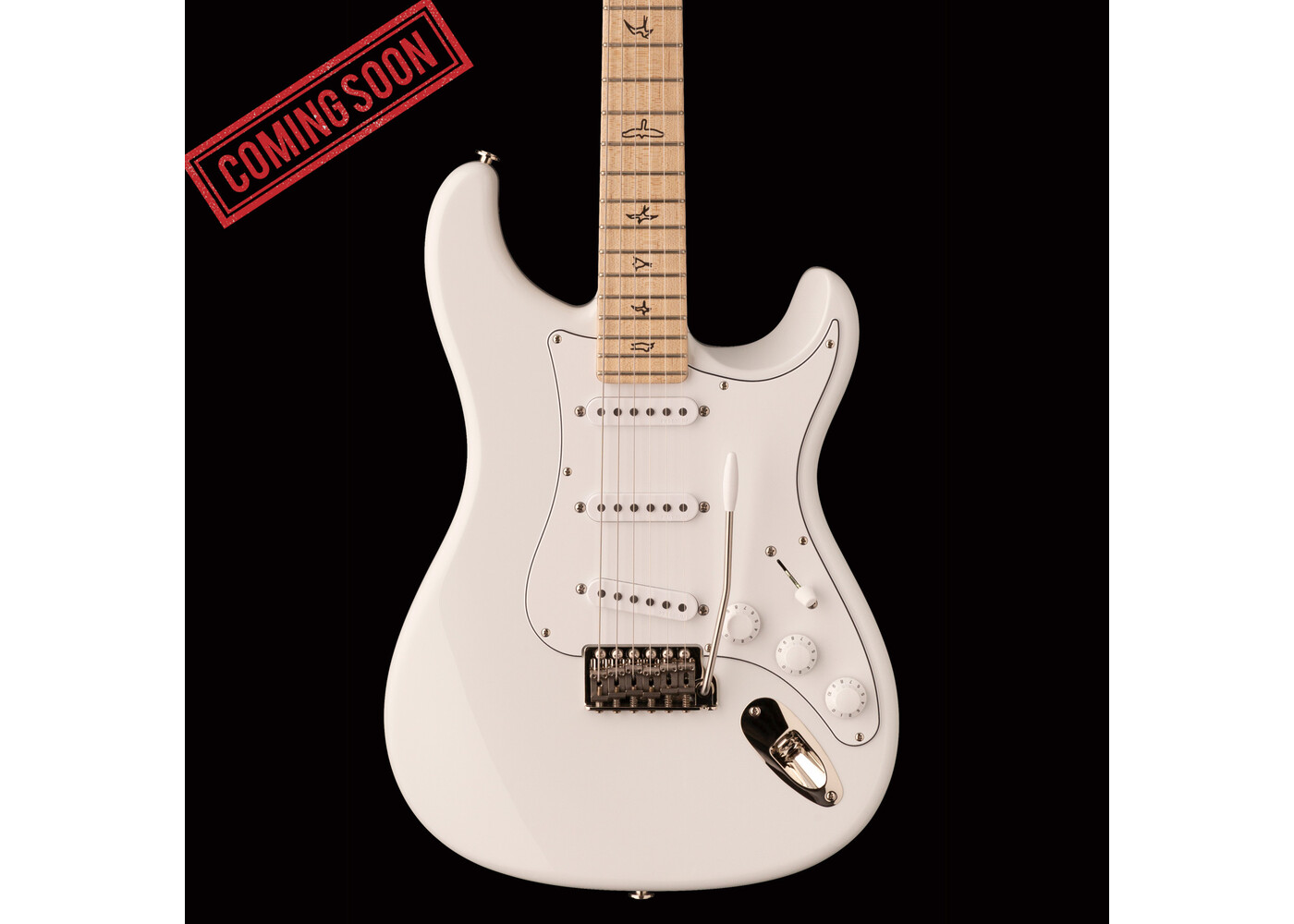 PRS Guitars PRS Silver Sky - Frost