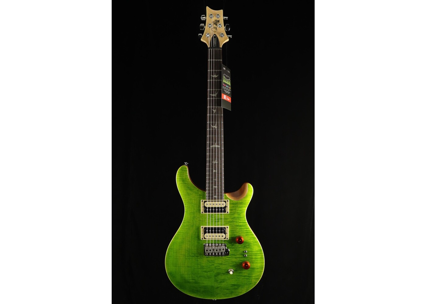 PRS Guitars PRS SE Custom 24-08 - Eriza Verde