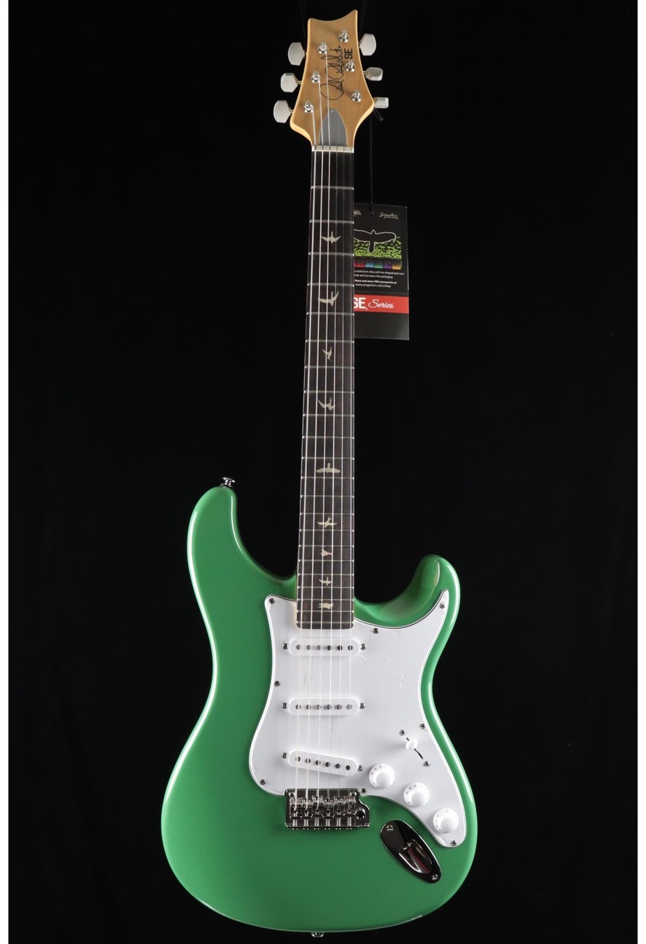 PRS Guitars PRS SE Silver Sky - Evergreen
