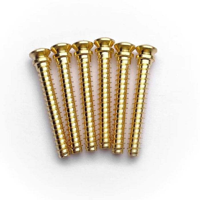 PRS Guitars PRS Gen III Tremolo Bridge Knife Edge Screws (6), Gold