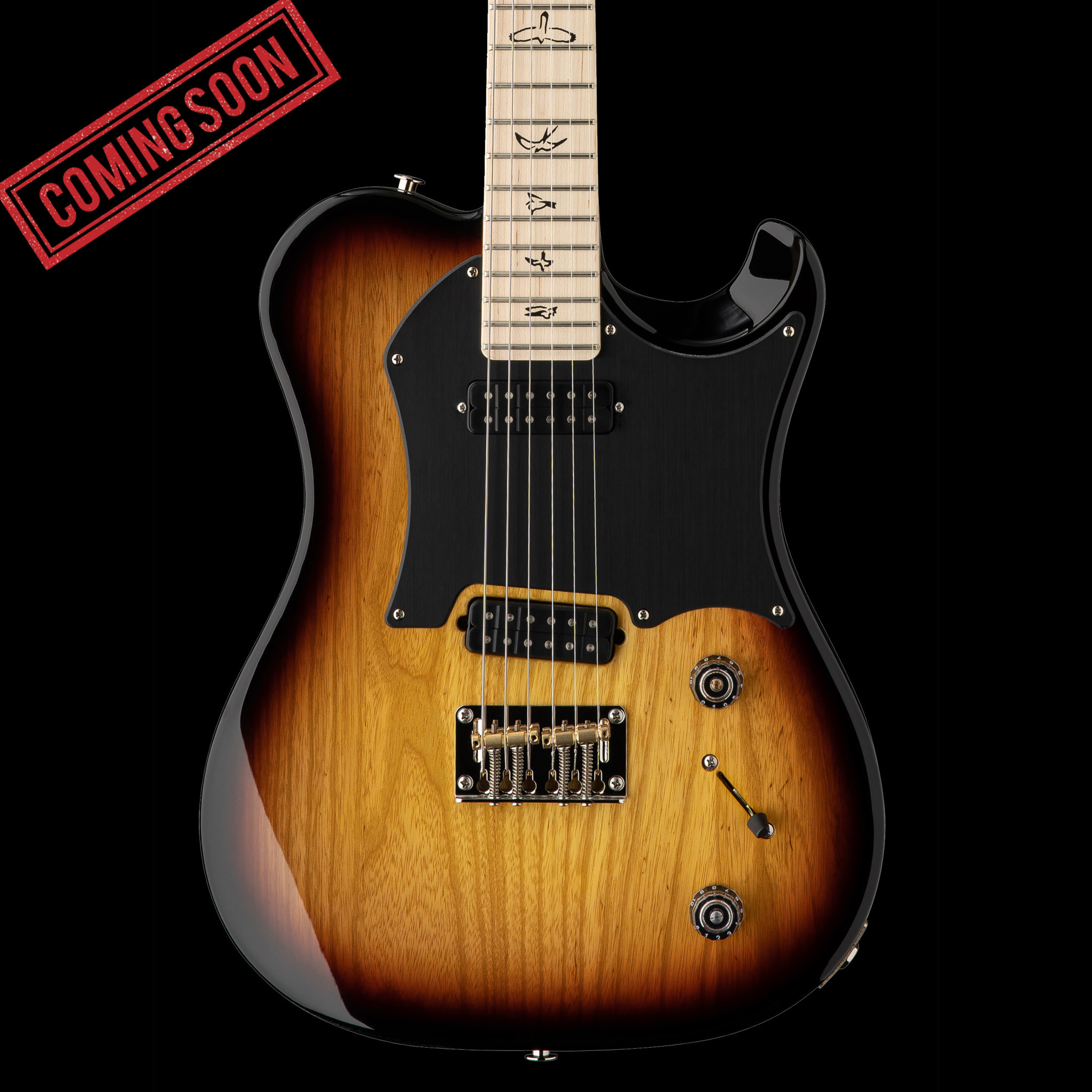 PRS Guitars John Mann's Guitar Vault