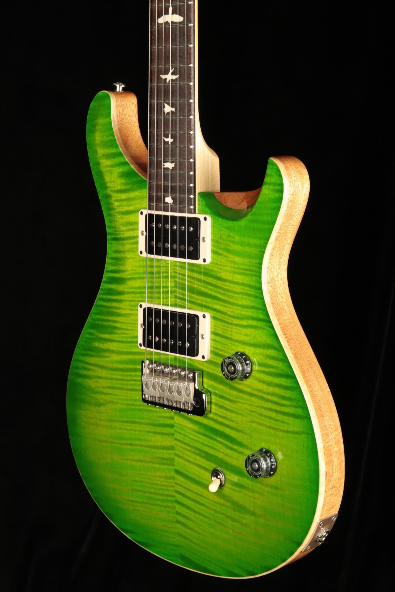 PRS Guitars PRS CE 24 Electric Guitar - Eriza Verde