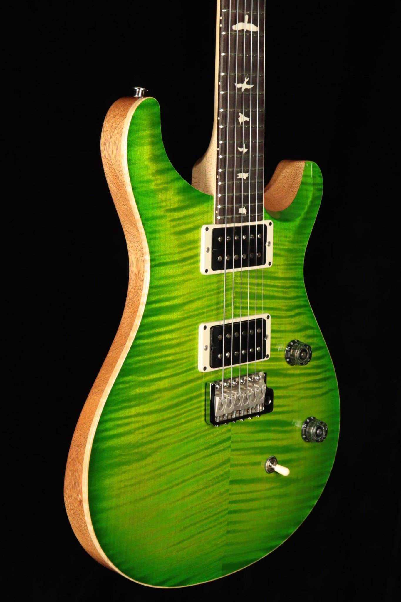 PRS Guitars PRS CE 24 Electric Guitar - Eriza Verde