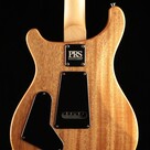 PRS Guitars PRS CE 24 - Eriza Verde