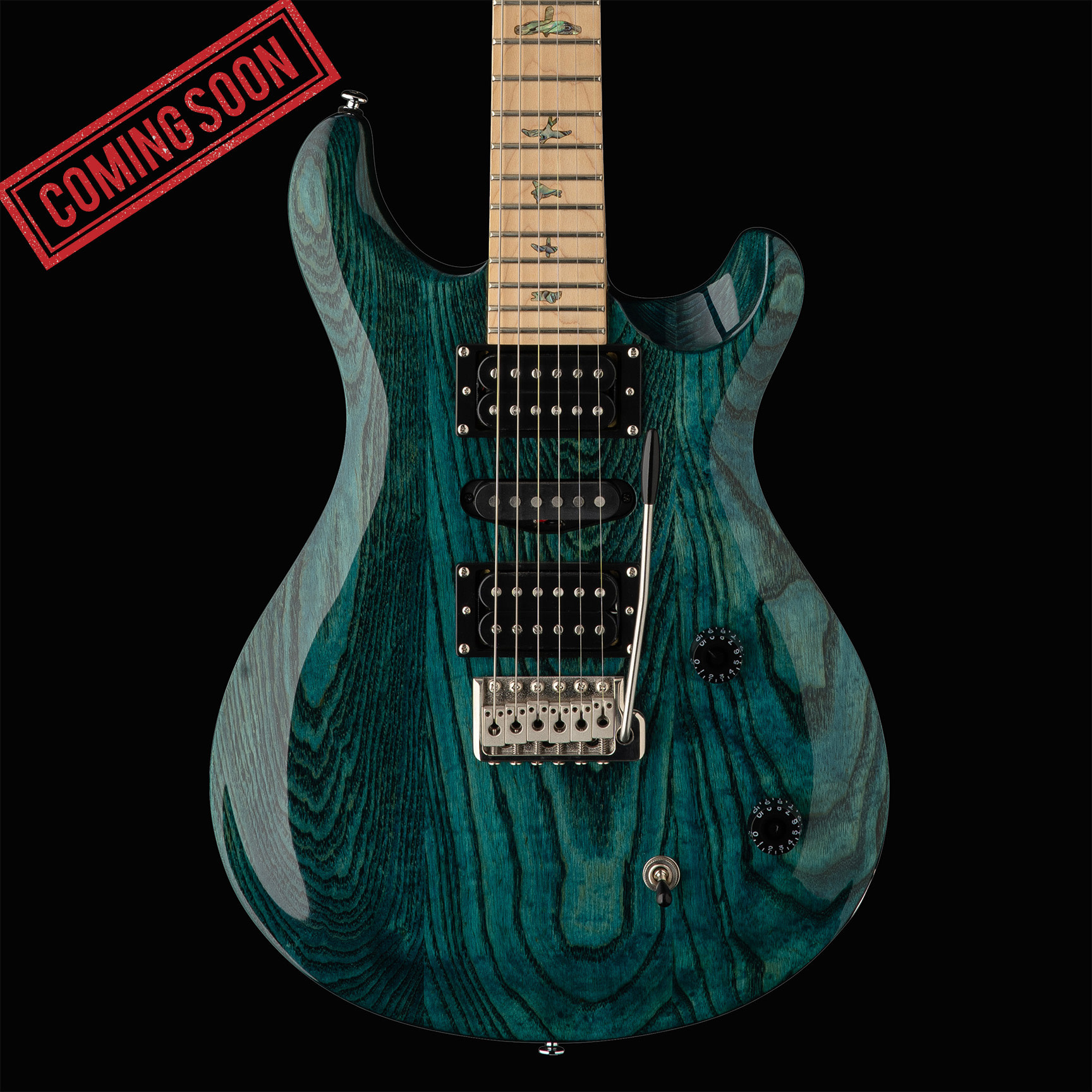 PRS Guitars PRS SE Swamp Ash Special - Iri Blue