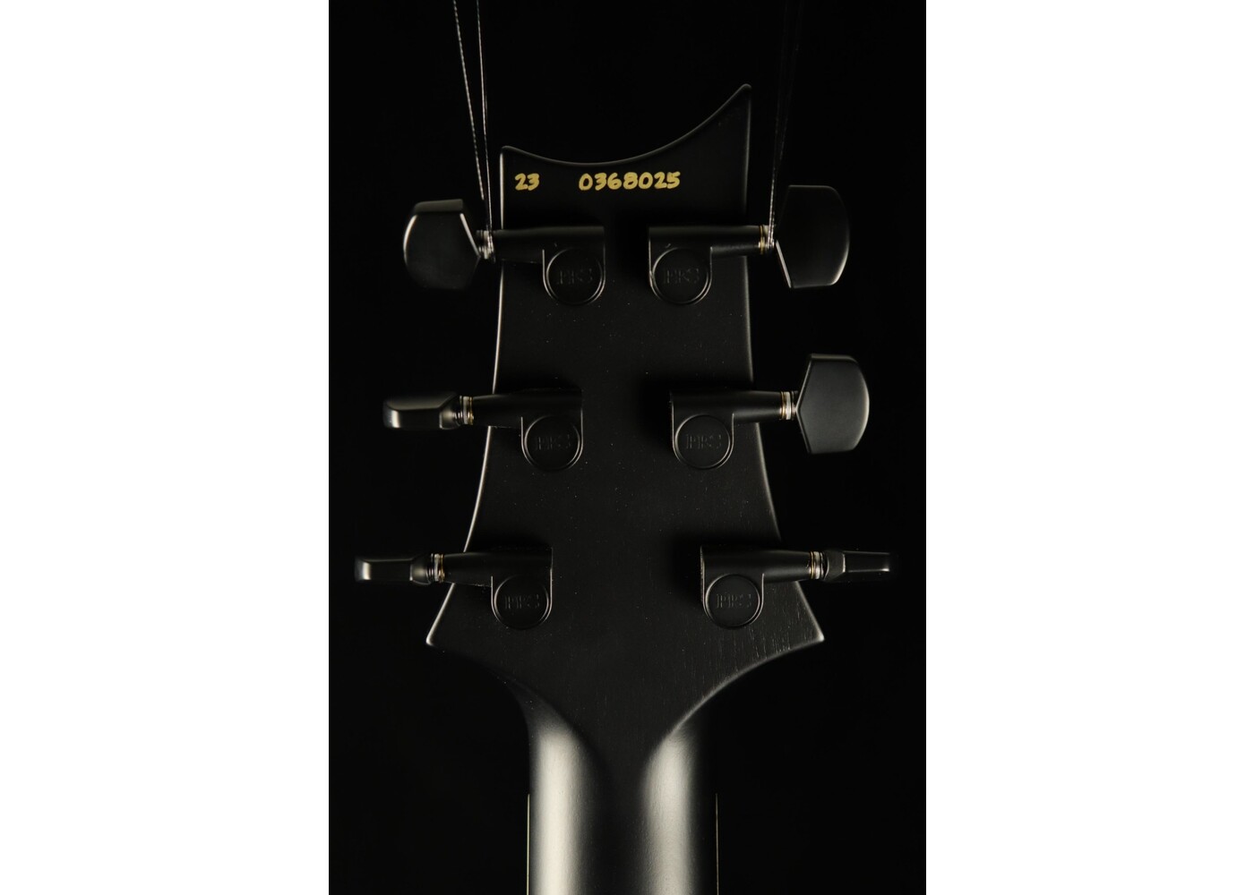PRS Guitars PRS DW CE 24 “Floyd” Electric Guitar - Grey Black