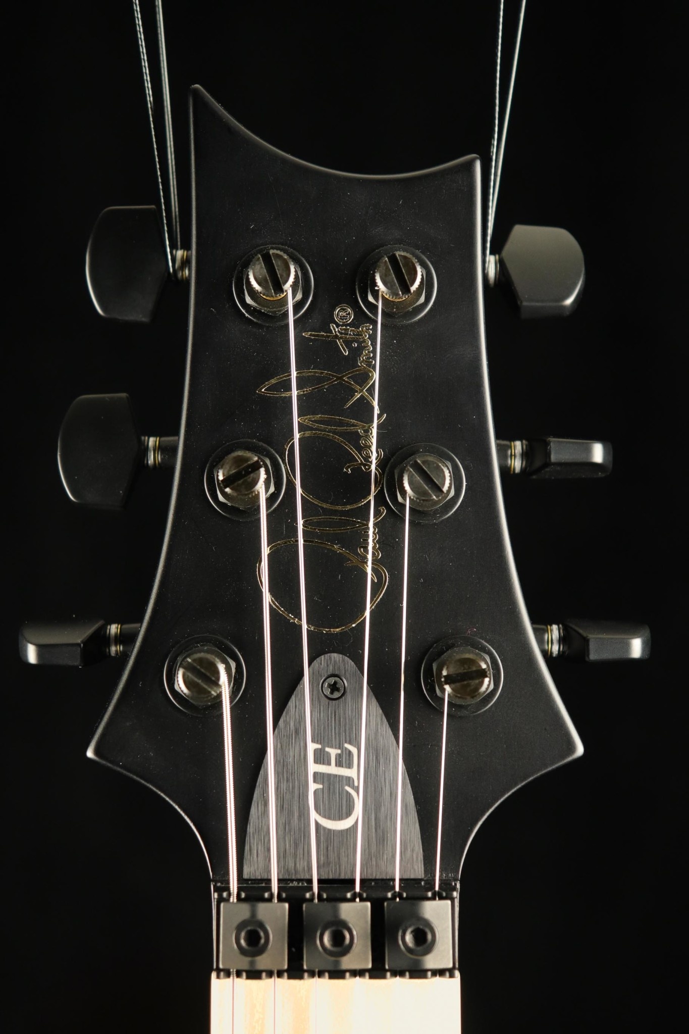 PRS Guitars PRS DW CE 24 “Floyd” Electric Guitar - Grey Black