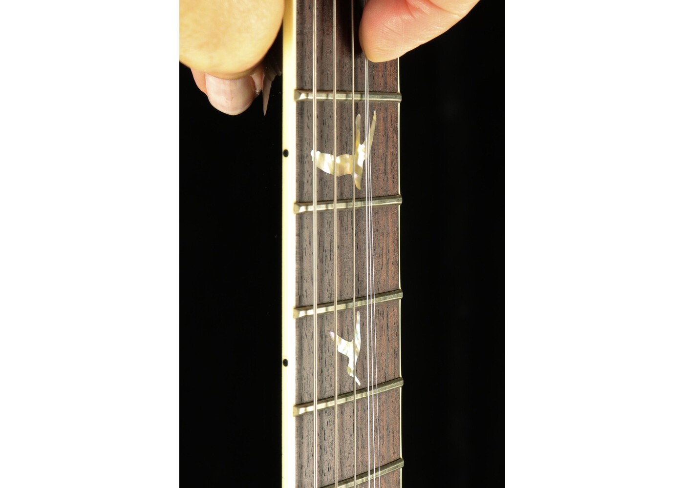 PRS Guitars PRS McCarty 594 Electric Guitar - Eriza Verde Black Wrap Burst